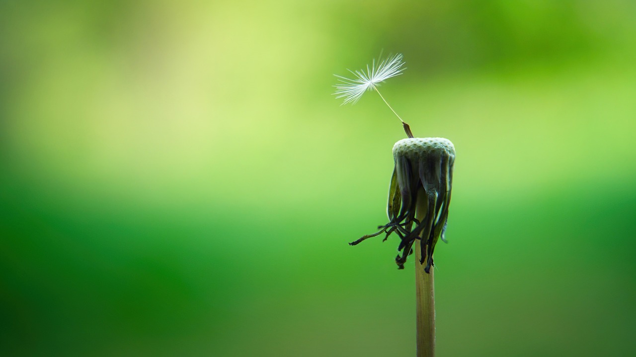 Investigating the Unconscious Aspects of the Mind